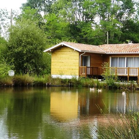 Chalet " Cote Lac " กาสเตส์ ภายนอก รูปภาพ
